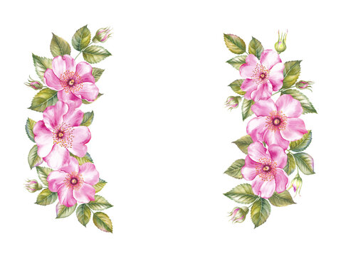 Vintage garland of blooming roses.