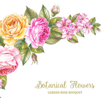 The Botanical Flowers.
