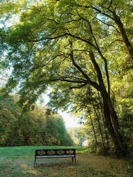 Hiking along the southern shore of Lake Michelbach in the commune of Aspach-Michelbach in the Haut-Rhin, offering rest areas in a peaceful and green setting