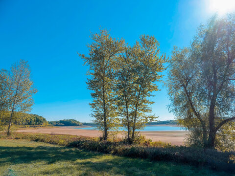 A path laid out along the north bank of the Michelbach dam in Alsace. Wild vegetation, shrubs, and reedbeds face the sandbanks exposed by the low water level of the lake