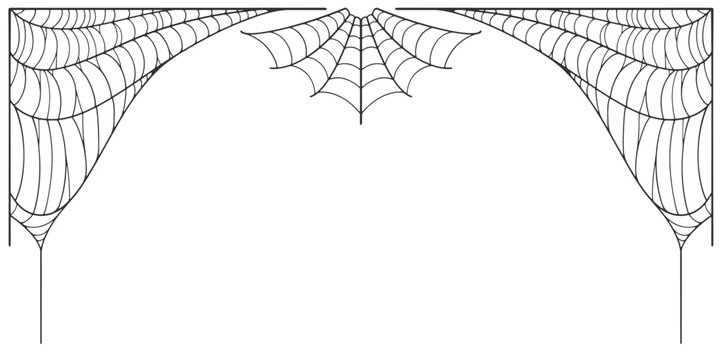 Vector illustration of a spider web