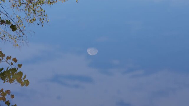 Daytime Moon and Tree Leaves Reflection on Gently Moving Water Surface