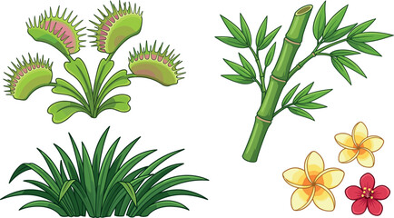 Exotic tropical plants vector illustration set with venus flytrap bamboo stalk green grass tuft and frangipani plumeria blossoms © Leon