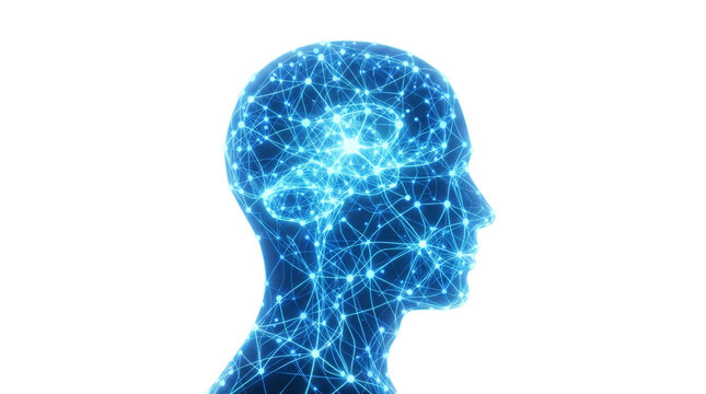 Artificial intelligence human brain profile, digital neural network connection, blue glowing cybernetic mind concept for technology and science isolated PNG with Transparent Background