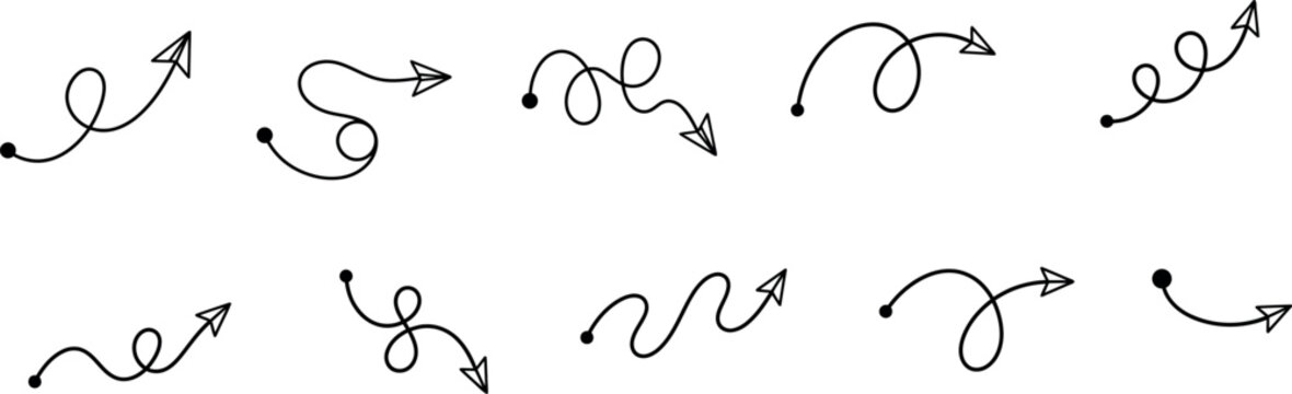 Collection of various black spiders isolated on a clean white background