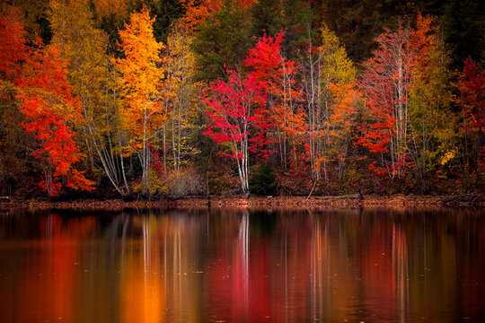 Fall colours surround a lake in NB, Canada. 