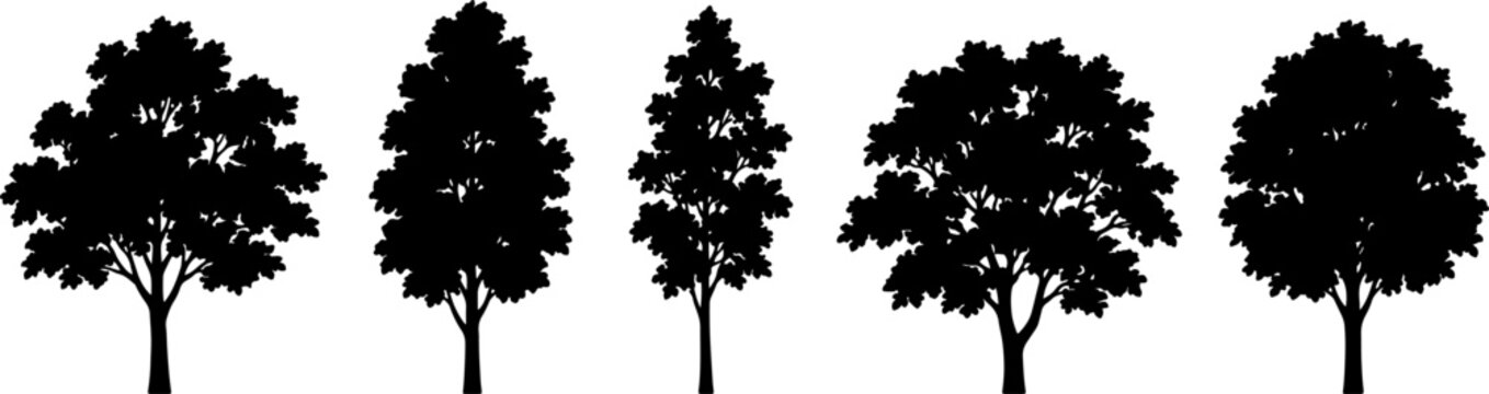 Collection of Black Tree Silhouettes with Diverse Canopy Shapes on White Background