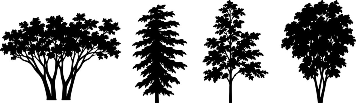 Black Tree Silhouettes Collection, Four Different Tree Shapes in Monochrome Vector Illustration