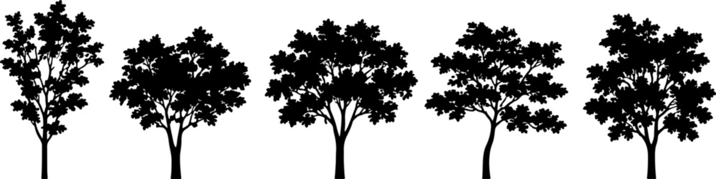 Five Black Tree Silhouettes with Varied Canopies, Minimalist Botanical Vector Illustration