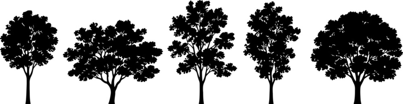 Five Black Tree Silhouettes with Diverse Foliage Shapes, Minimalist Botanical Vector Illustration