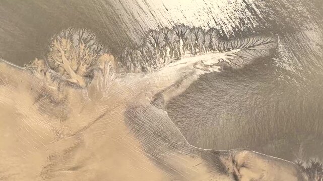 Drone view of the eceding tide reveals beautifal twin tree pattern. on the mudflat in the Qiantang River in China