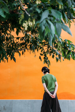 Person stands in front of an orange wall under a tree