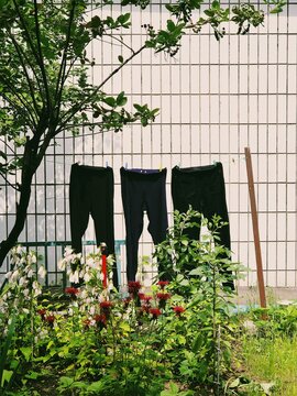 Clothes drying on a line in a garden with flowers in view