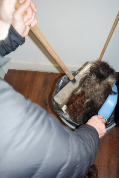 Person collecting a pile of cut hair with a dustpan