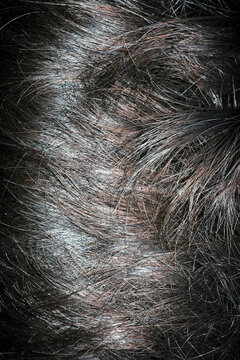Dark hair with grey strands seen from above