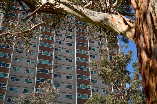Social Housing Towers Seen Through Trees During the Day