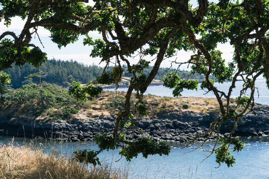 Bays Of Vancouver Island