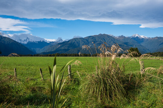 Meadows and mountains in New Zealand