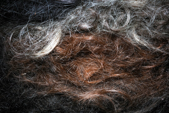 Mixed hair clippings scattered on a salon floor