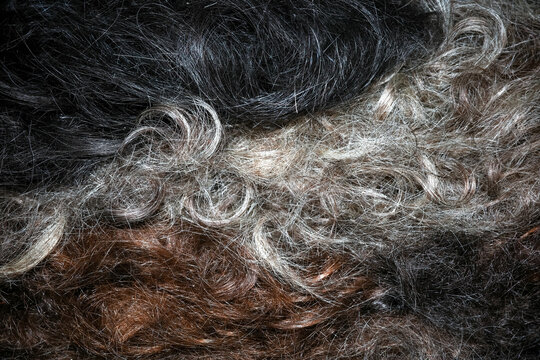 Multicoloured curly hair mass with ombre tones