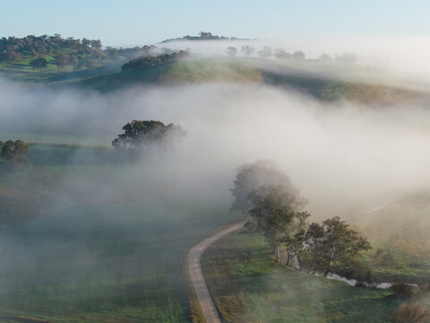 Country road vanishing under fog on a rural hillside