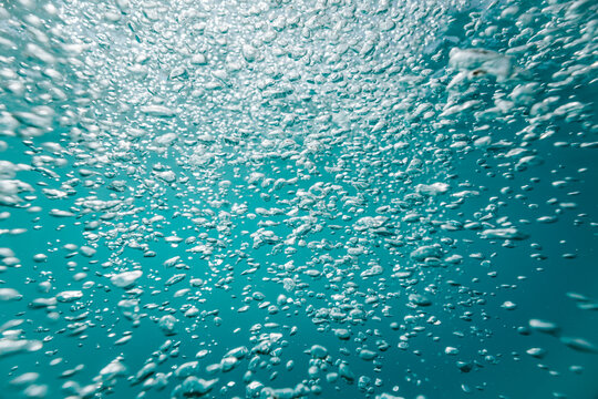 bubbles rising toward the surface of a lake