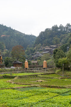 Rural Landscape Of Zhaoxing Dong Village With Terraced Fields And Traditional Houses In Guizhou China