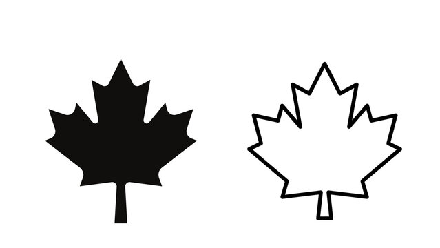 autumn maple leaf icon
