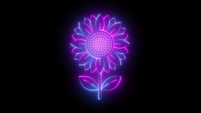 glowing neon Sunflower icon isolated on black background.  Ideal for nature themes, gardening, floral designs, and botanical interfaces. 4k video animation.