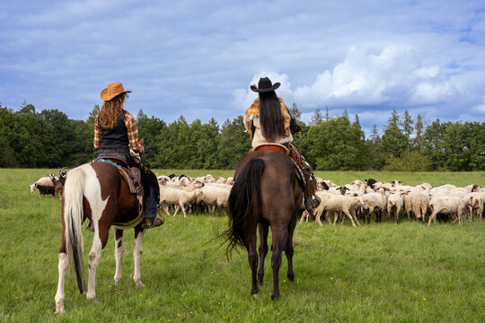 Schafherde und Cowboys bzw. Cowgirls