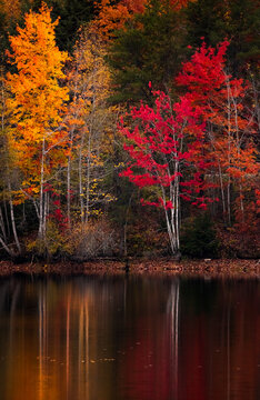 Fall colours in Canada 