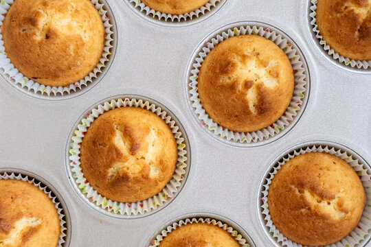 Home dessert. Portion treat. Round vanilla cupcakes with golden crust in metallic tray. Delicious recipe food prepared for serving.