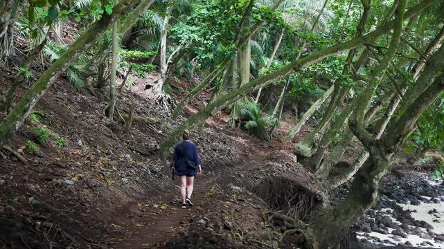 Woman walking close to a beach below palms in a tropical forest on Ilh&eacute;u das Rolas, the equator island, S&atilde;o Tom&eacute; and Pr&iacute;ncipe