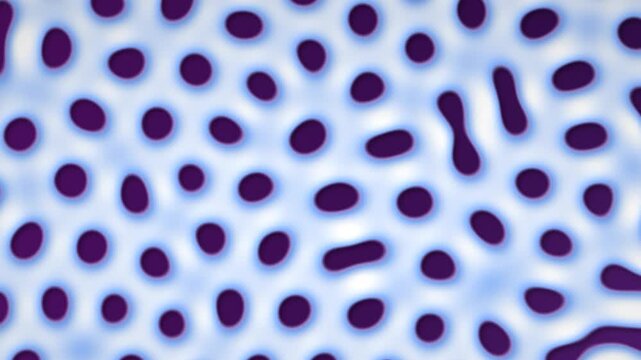 Fondo de patr&oacute;n org&aacute;nico abstracto en bucle sin costuras
