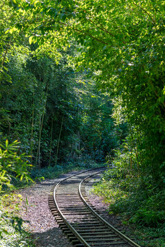 railway going around a corner in the forest
