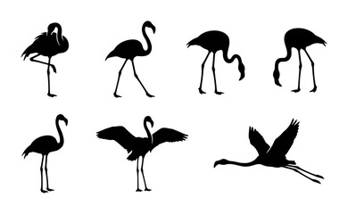Fototapeta premium Flamingo silhouettes set with birds in various poses, flight and standing for wildlife or zoo design