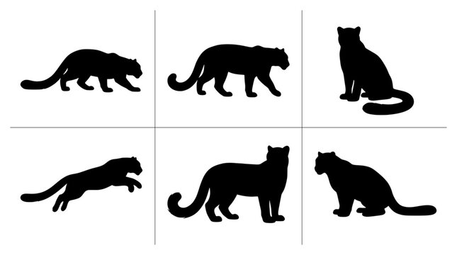 Snow leopard silhouettes set with walking, sitting, and jumping poses for wildlife design