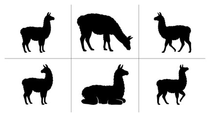 Fototapeta premium Llama silhouettes set with standing, grazing and resting poses for logo or signage