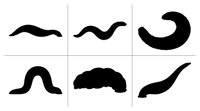 Leech silhouettes set with various poses and shapes for medical or biological concepts