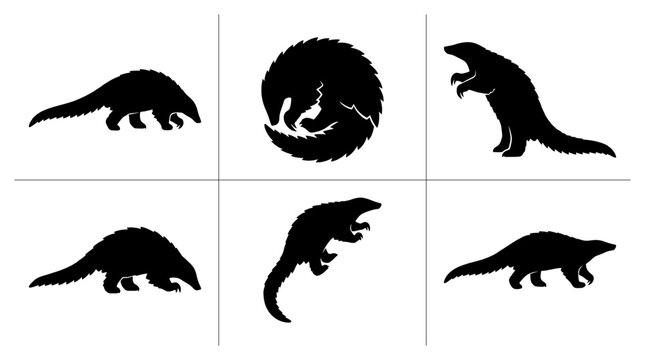 Pangolin silhouettes set with curled up and walking poses for logo, print, or sticker