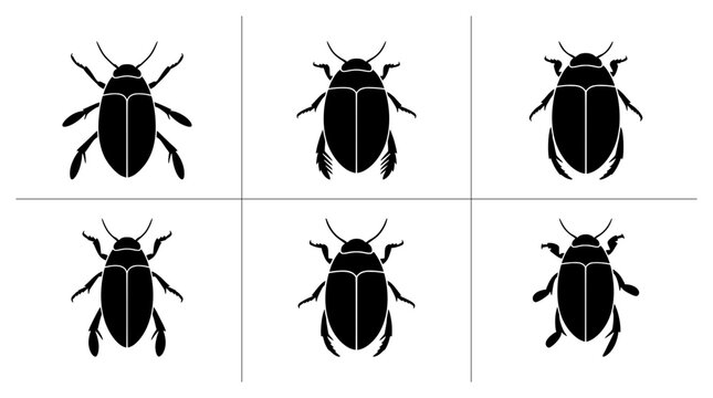 Whirligig beetle silhouettes set with different poses for insect logos and nature designs