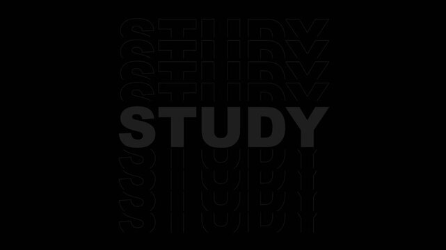 Study Kinetic Typography Outline Text Motion Graphic Overlay 4K
