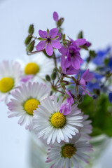 Common daisy Bellis perennis bouquet with pink wildflowers in small glass vase on light background © Iva
