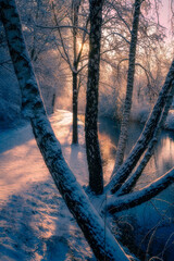 Chłodny Poranek © Robert