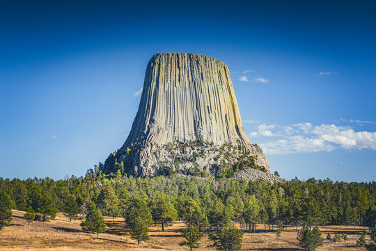 The largest basaltic organ formation at Devil's tower