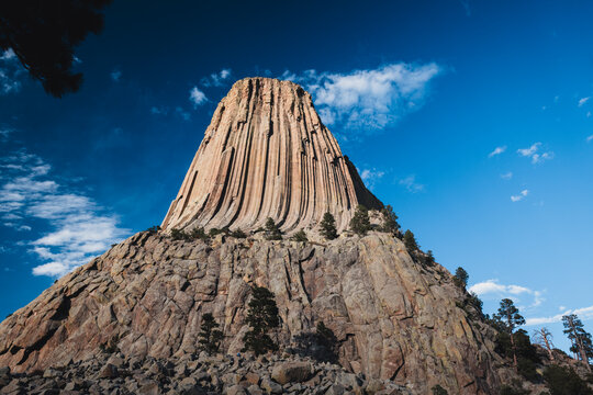 At the bottom of the Devil's tower