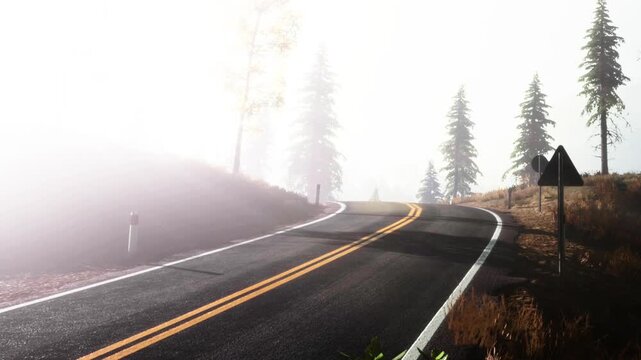 A winding road leads through a foggy landscape filled with tall evergreen trees. The atmosphere is mysterious and tranquil as the sun tries to break through the haze.