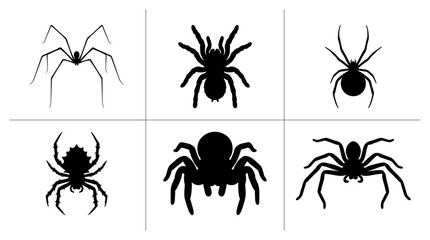 Naklejka premium Spider silhouettes set with various arachnids for Halloween or nature design