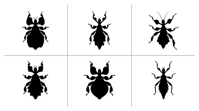 Leaf insect silhouettes set with various poses for nature logo or print