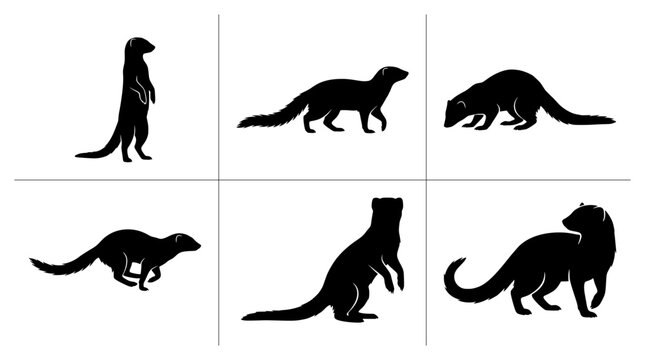 Mongoose silhouettes set with figures standing, walking, running and sniffing for wildlife logos and icons